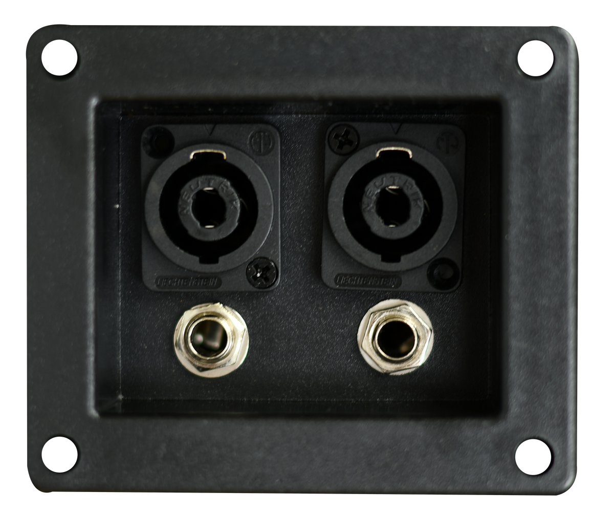 TERMINALES PARA CAJAS ACUSTICA 2 JACK 6.3MM Y 2 JACK SPEAKON, 10 X 8.5 CM