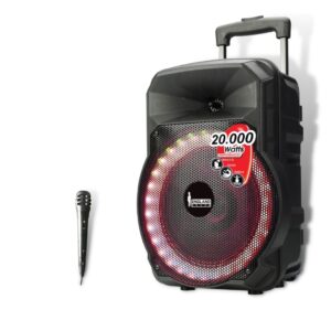 Caja Amplificada con Batería 10 Pulg 20.000 W