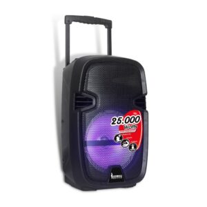 Caja Amplificada con Batería 10 Pulg de 25.000 W y bluetooth