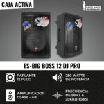 ES-BIG BOSS 12 DJ PRO - CUADRADO ESPECIFICACIONES